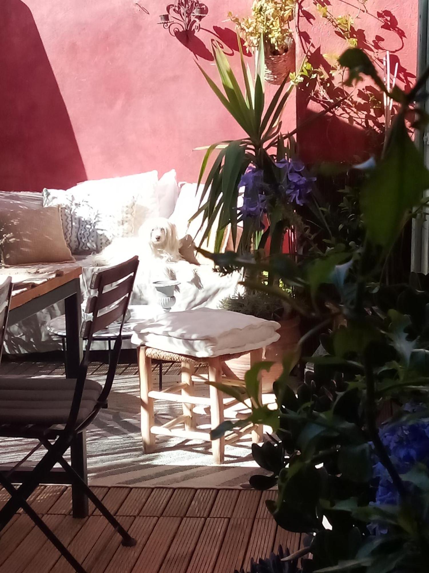 La Maison Perchee Aigues-Mortes Cameră foto